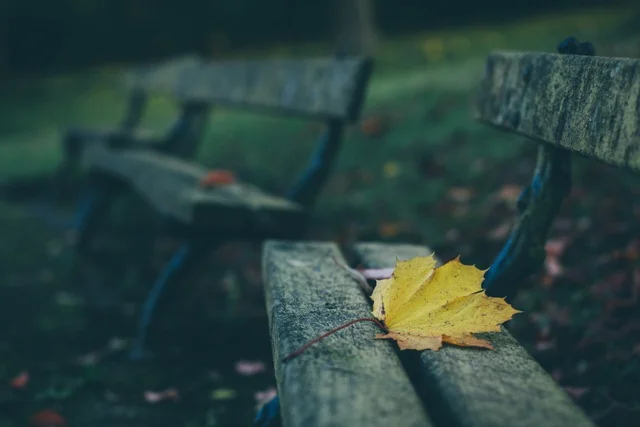 SAD depresja jesienna zimowa sezonowa